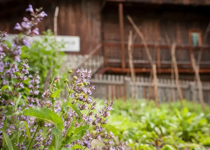 Kesslerstadel Apartament Matrei in Osttirol