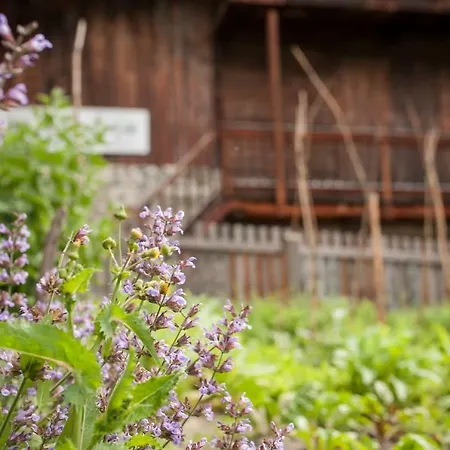 Kesslerstadel Lägenhet Matrei in Osttirol